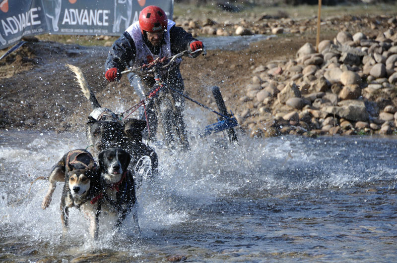 Campeonato de Espa&ntilde;a de Trineos con Perros